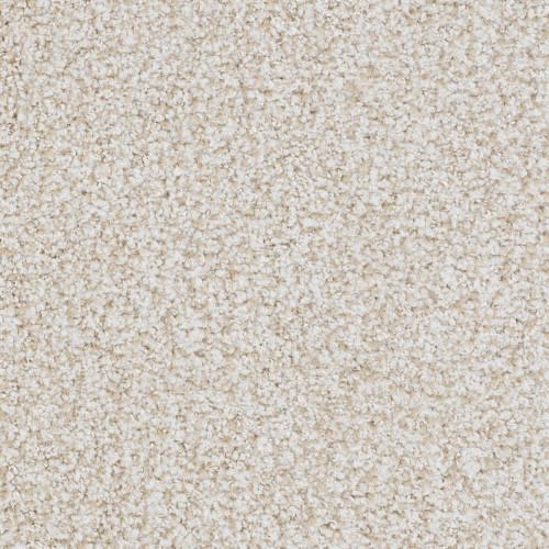 St. Augustine Flooring by Masland Carpets
