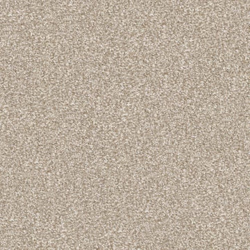 Sandy