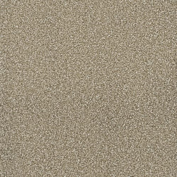 Quail