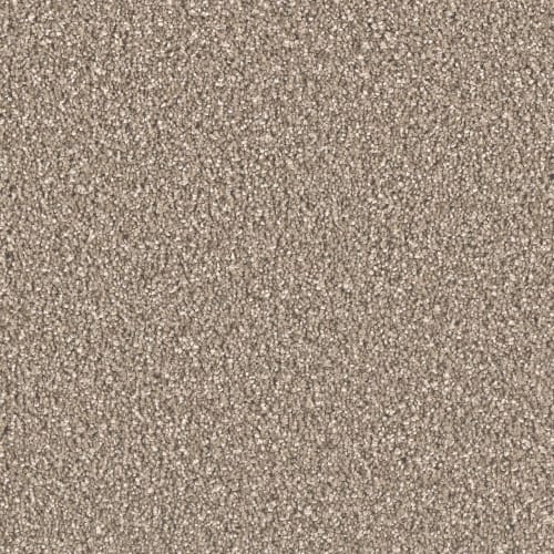 Brooklyn in Acorn Carpet