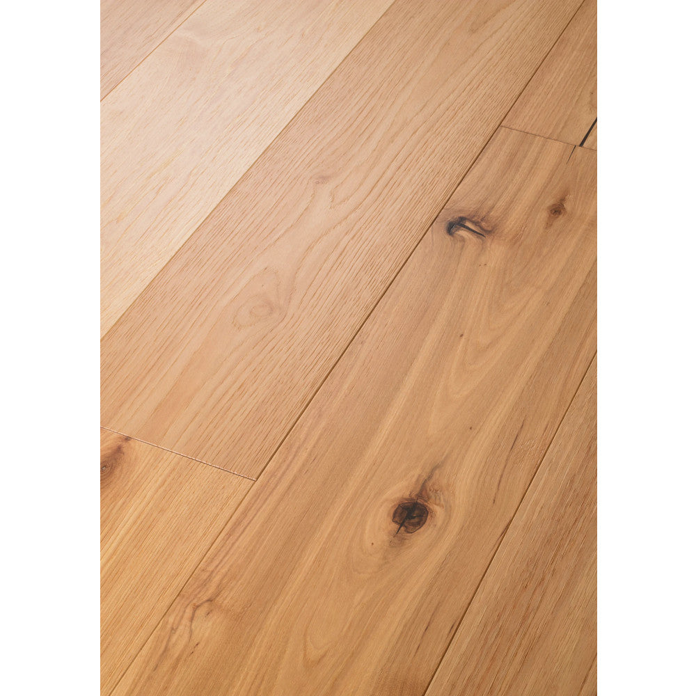 Argonne Forest Hickory