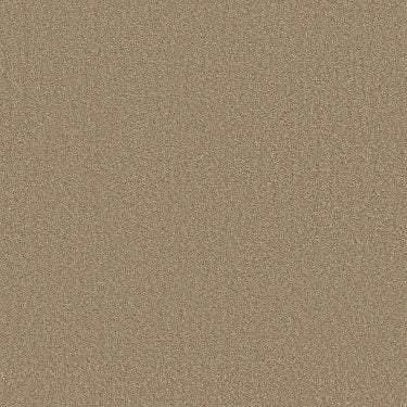 Pioneer in Carpet Flooring