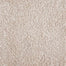 Atelier Marquee - Jazzy in Bisque Carpet