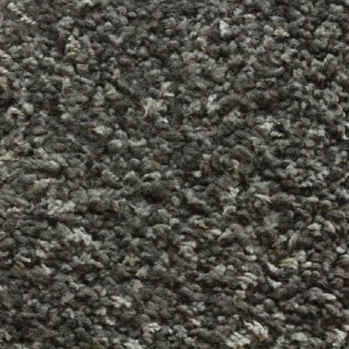Avantgarde - Shaggy Plush in Charcoal Carpet