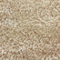 Avantgarde - Shaggy Pop in Chamois Carpet