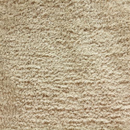 Avantgarde - Shaggy Posh in Beachwood Carpet