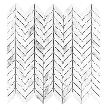 Carrara Willow