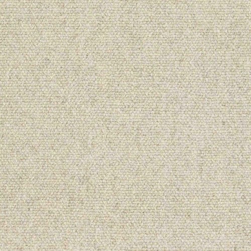 Authentique in Cloud Carpet