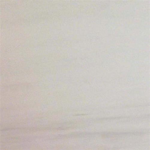 MSI Stone in Bianco Dolomite Natural Stone