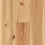 Forest Rain Hickory Engineered in Natural Hickory 7-7/16"