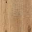 Forest Rain White Oak Engineered in Serene Neutral 7-7/16"