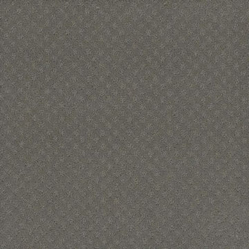 Bayside