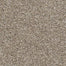 Timeless Statement in Beachfront Carpet