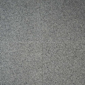 Bianco Catalina - 12x12