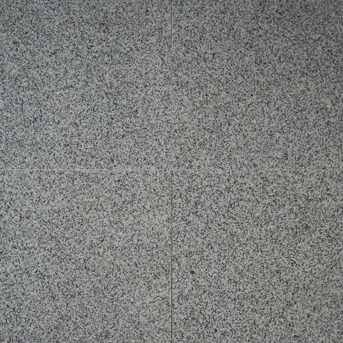 MSI Stone in Bianco Catalina Natural Stone