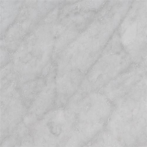 MSI Stone in Carrara White Natural Stone