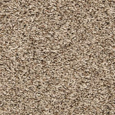 Color Classics II in Boulevard Carpet