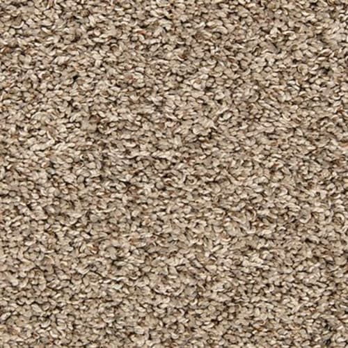 Color Classics II in Boulevard Carpet