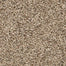 Color Classics II in Boulevard Carpet