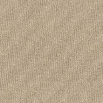 Sahara