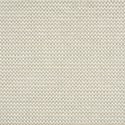 Costa Rica Remix in Frost Carpet