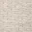 Casa Bella in Chrome Carpet