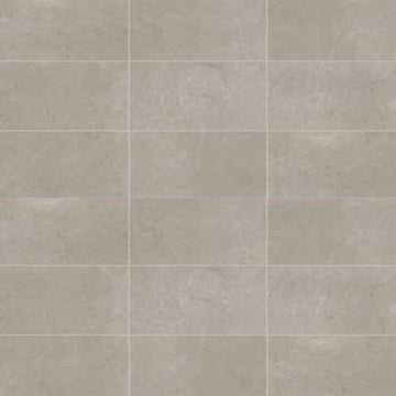 Coliseum Gray Polished - 24x24