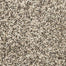 Canine Chic in Cascade Carpet
