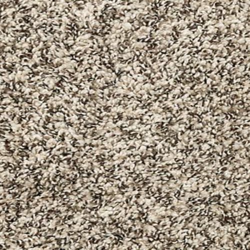 Canine Chic in Cascade Carpet