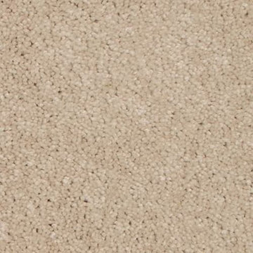 Champagne Beige