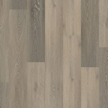 Char Oak