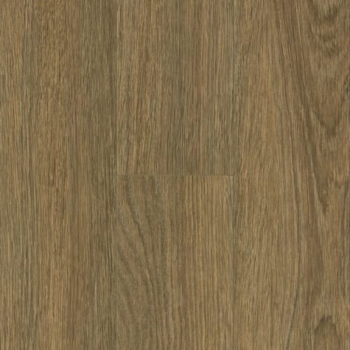 Bruce in LifeSeal Classic Plus Luxury Vinyl