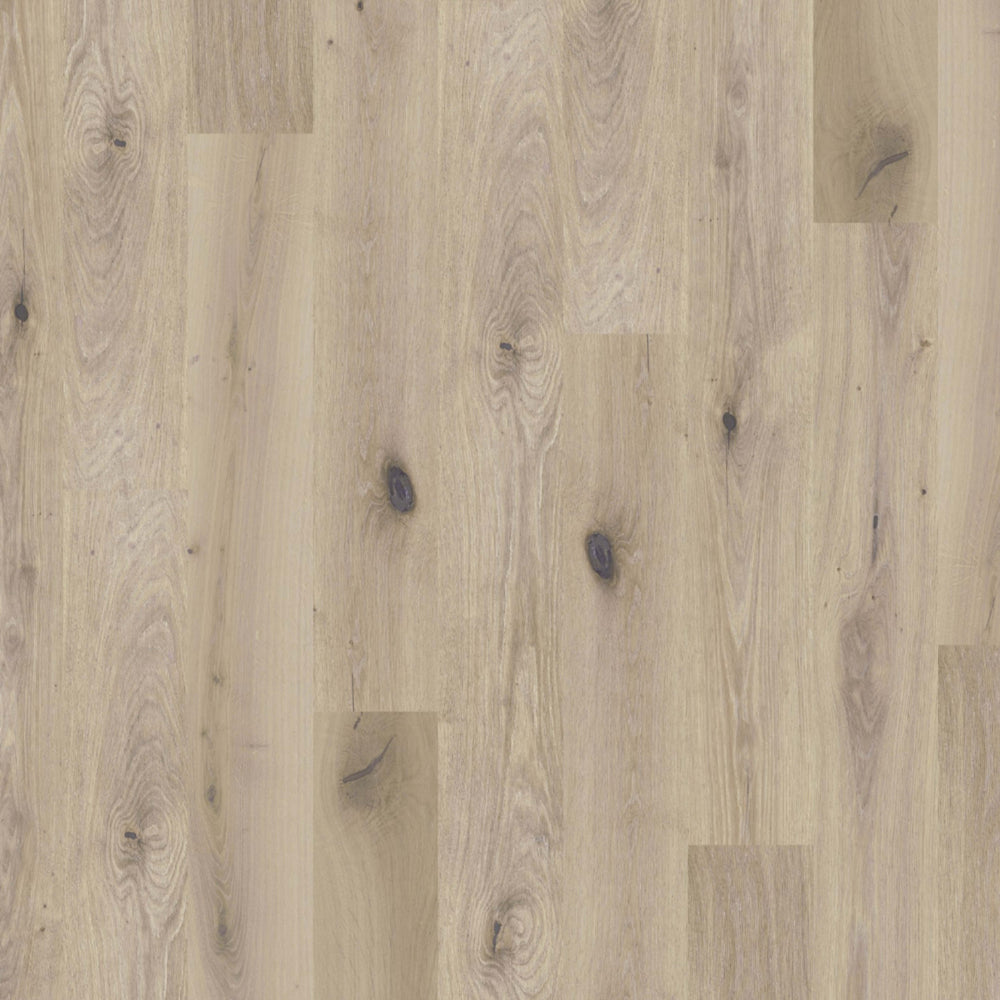 Global Winds in Chinook Hardwood