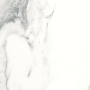 Calacatta 18x18 Pressed Matte