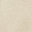 Cortana 5377 in 20209 Bamboo   Carpet Flooring | Dixie Home