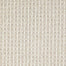 Conqueror D010 in 13112 Windfall Carpet Flooring | Dixie Home