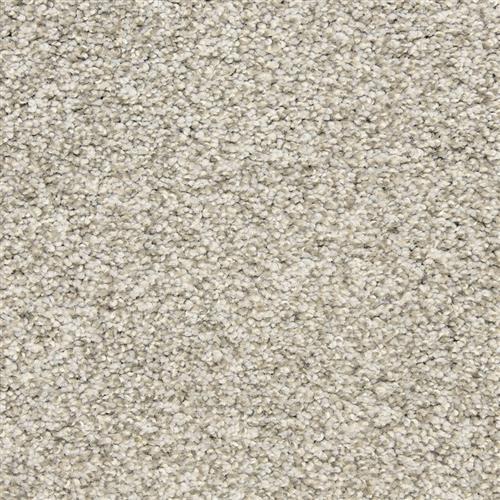 Rochelle D013 in 83120 Titanium   Carpet Flooring | Dixie Home