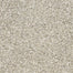 Rochelle D013 in 83120 Titanium   Carpet Flooring | Dixie Home