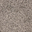 Star Power in Black Sand Carpet