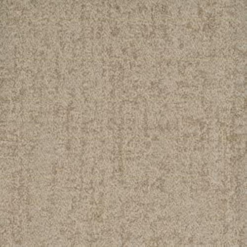 Authentic in Aboveboard Carpet