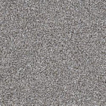Schnauzer
