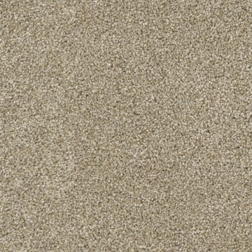 Pebble