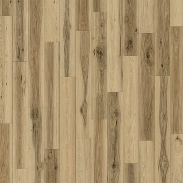 Acadia / 7 x 48