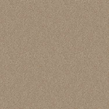 One Over All in Carpet Flooring