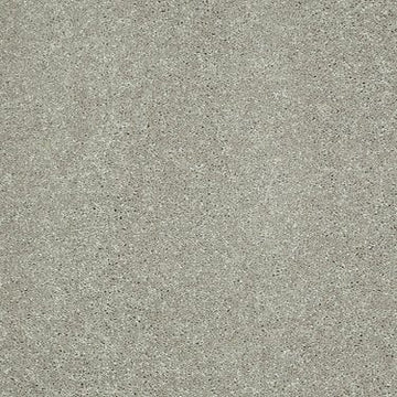 Sheer Silver