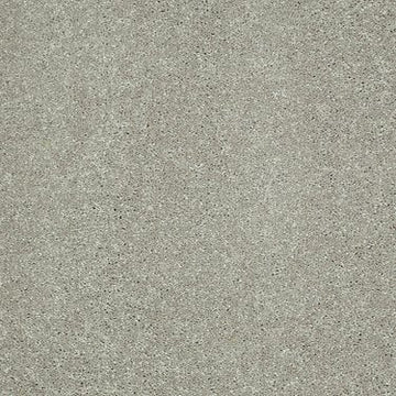 Sheer Silver