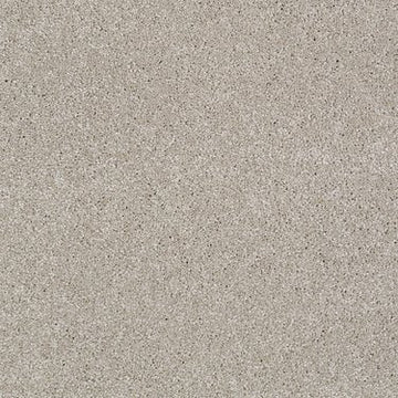 French Canvas