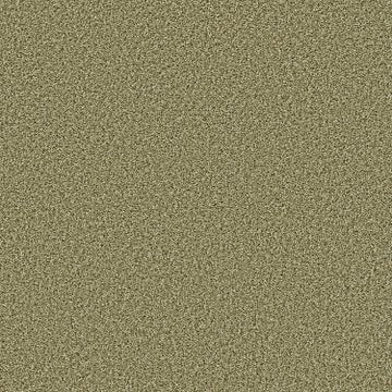 Citrus Splash