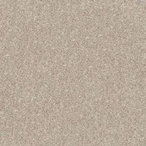 Plaster