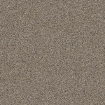 Dove